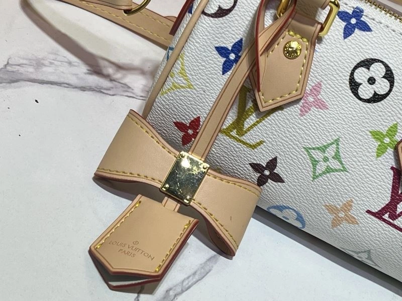 Popular Louis Vuitton Speedy Bags 79366