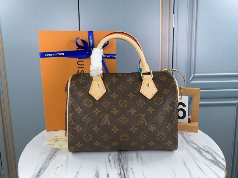 Louis Vuitton Speedy Bags GoAnywhere 79336