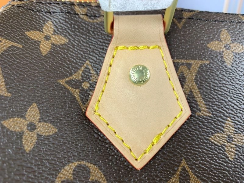 Louis Vuitton Speedy Bags GoAnywhere 79336