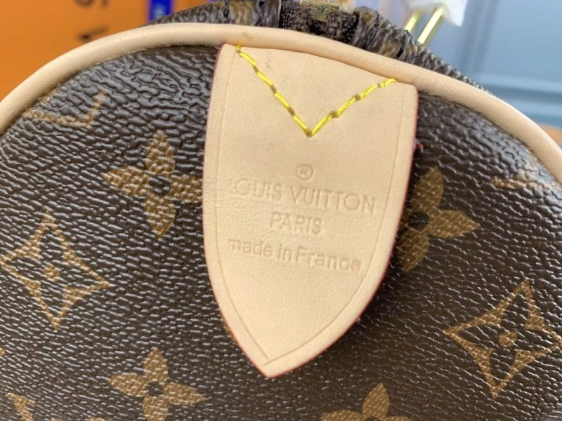 Louis Vuitton Speedy Bags GoAnywhere 79336