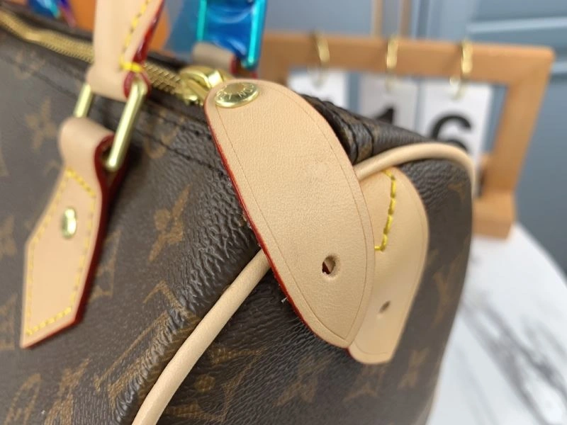 Louis Vuitton Speedy Bags GoAnywhere 79336