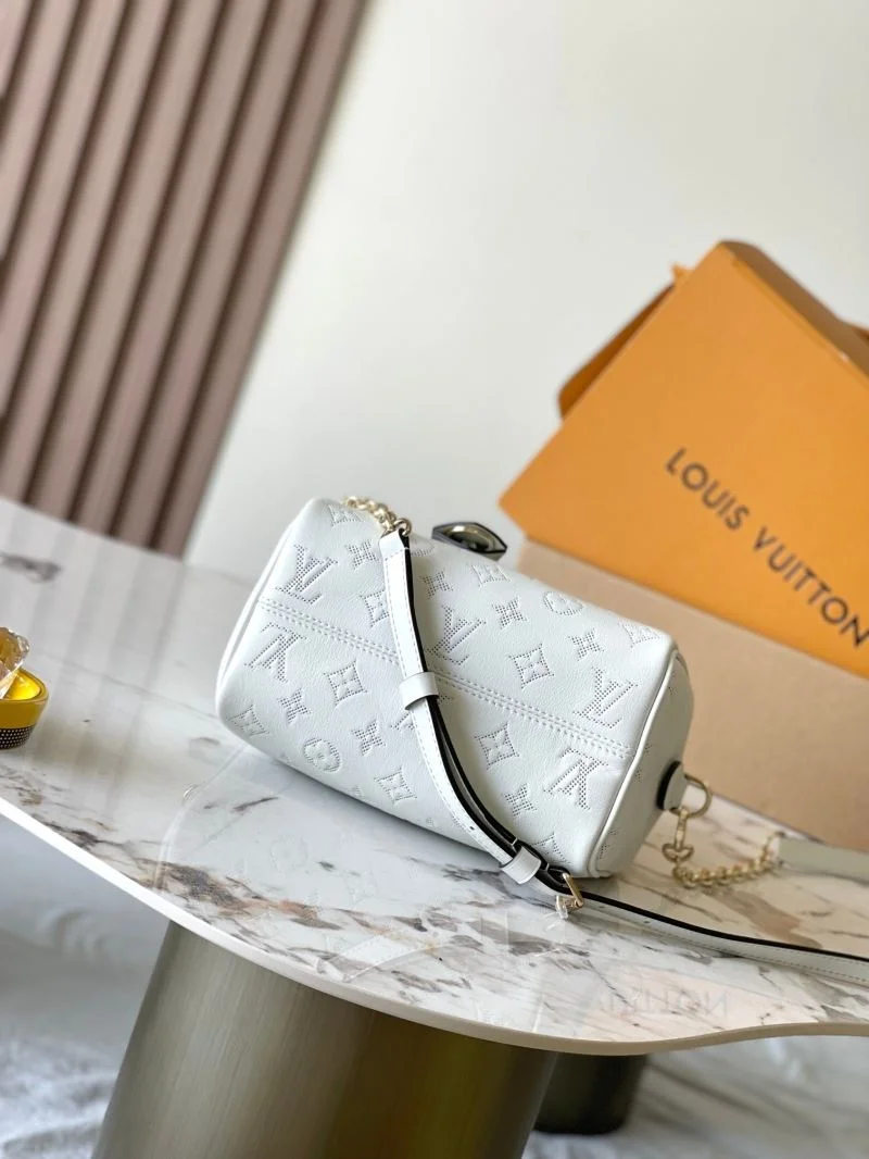 Louis Vuitton Speedy Bags WeatherProof 39418