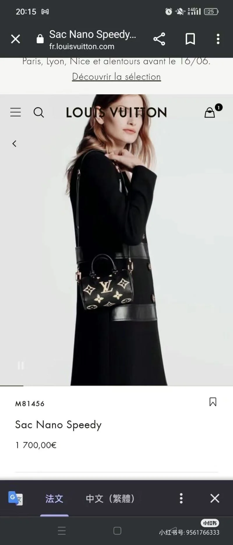 Louis Vuitton Speedy Bags TravelReady 39396