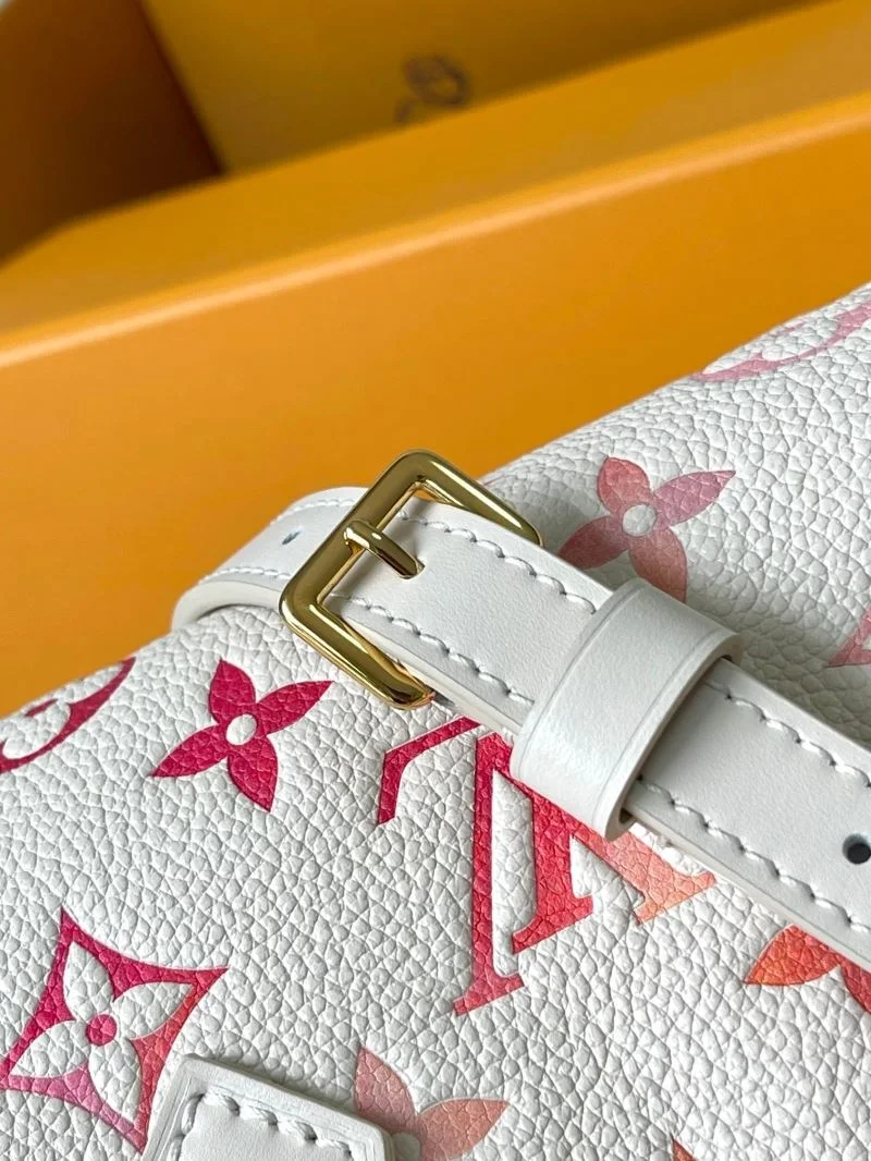 Popular Louis Vuitton Speedy Bags 39397