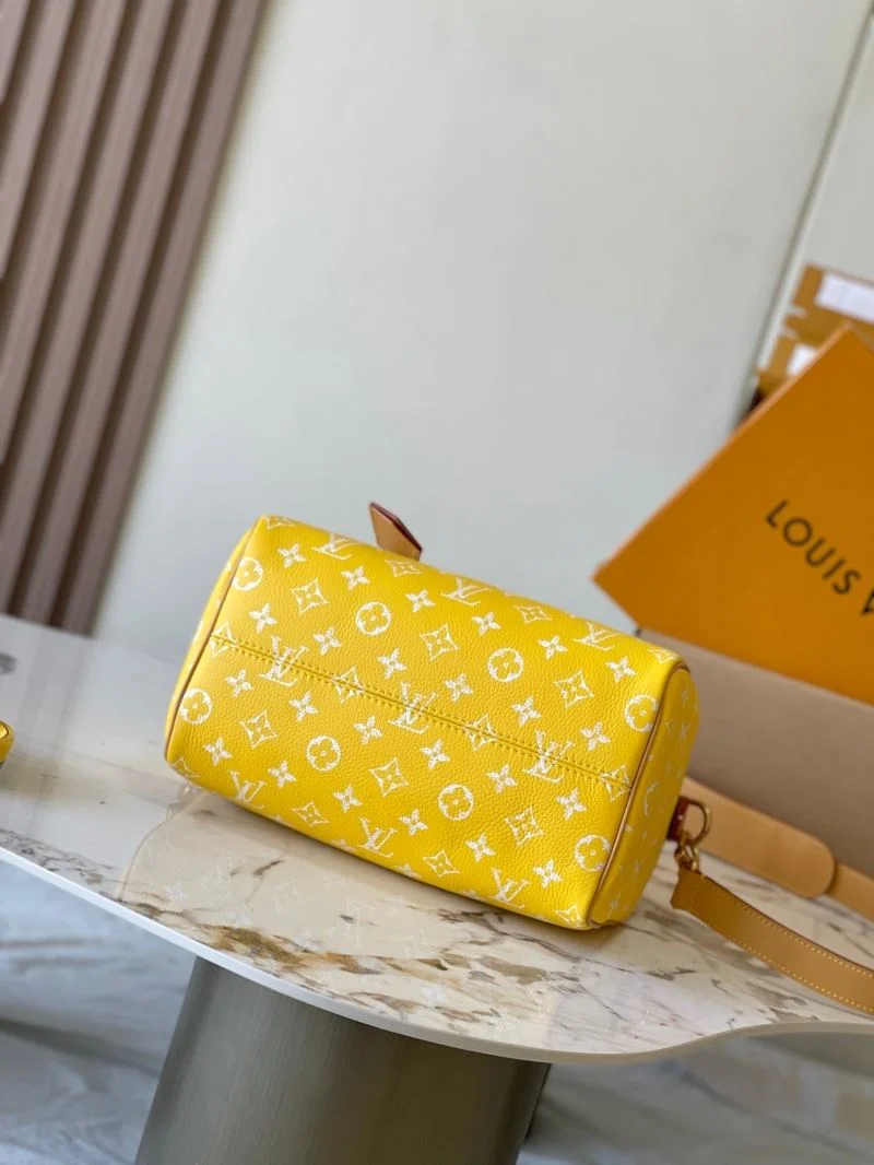 ModernLook Louis Vuitton Speedy Bags 39380