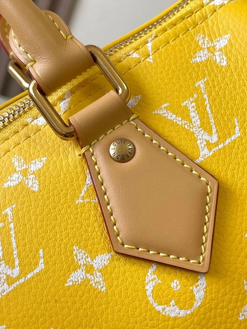 ModernLook Louis Vuitton Speedy Bags 39380