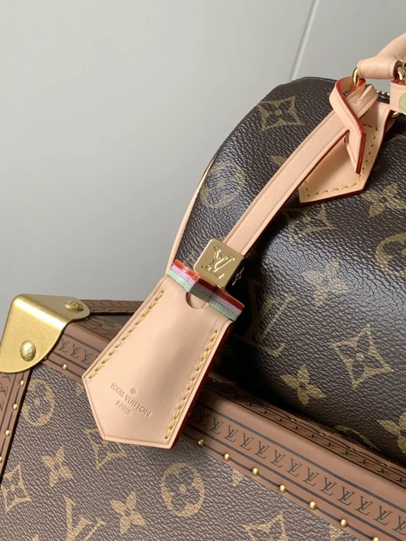 Compact Louis Vuitton Speedy Bags 38784