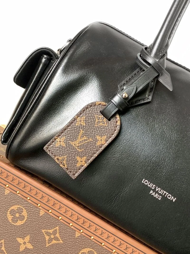 EyeCatching Louis Vuitton Speedy Bags 38777
