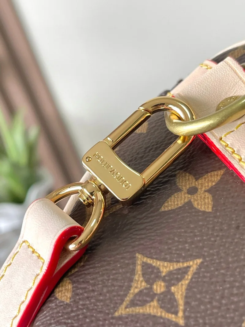 Louis Vuitton Speedy Bags Comfortable 38759