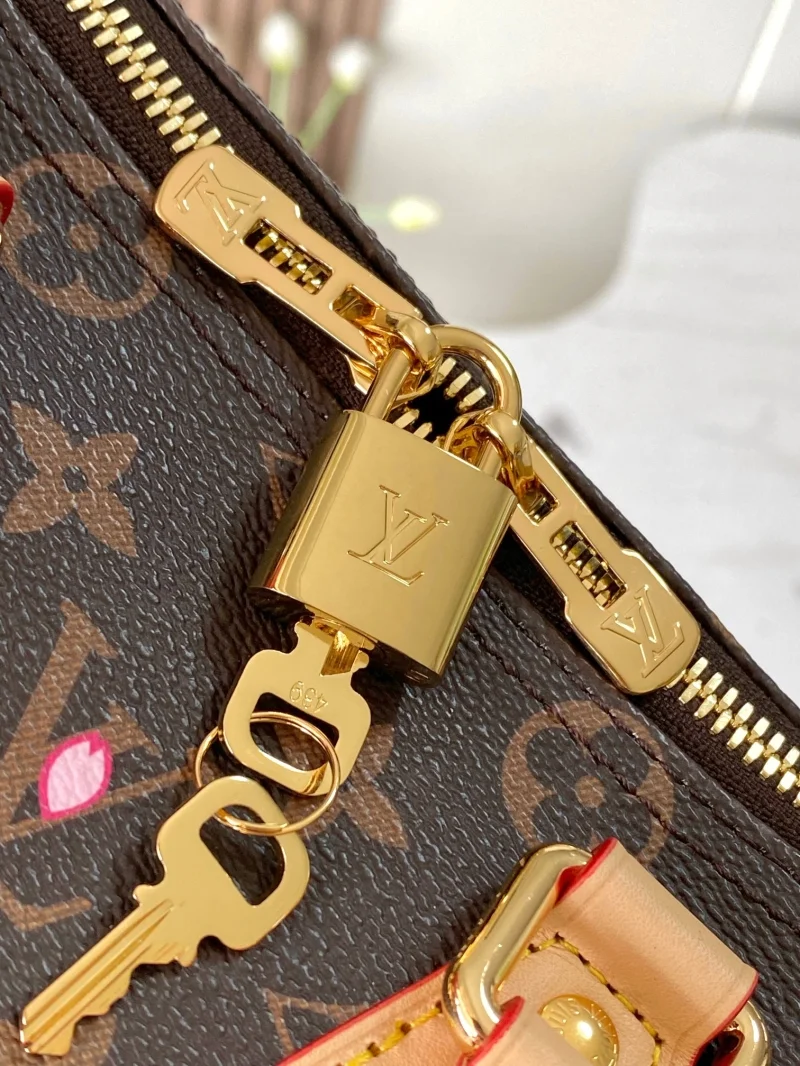 Louis Vuitton Speedy Bags Practical 38754
