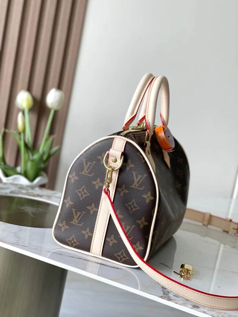 Trendsetting Louis Vuitton Speedy Bags 38752
