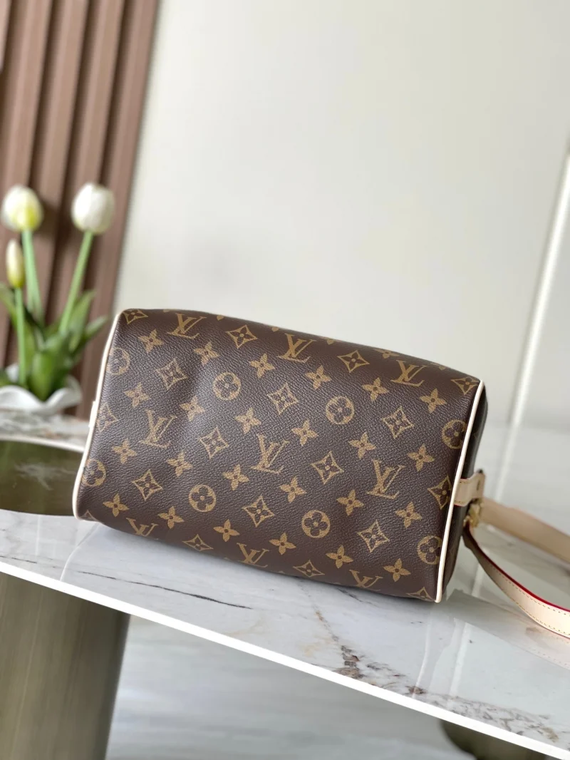 Trendsetting Louis Vuitton Speedy Bags 38752