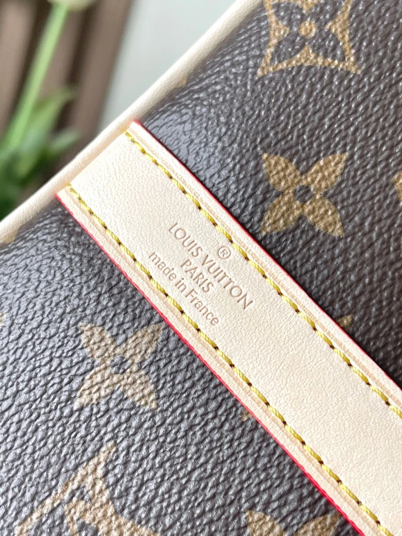 Trendsetting Louis Vuitton Speedy Bags 38752