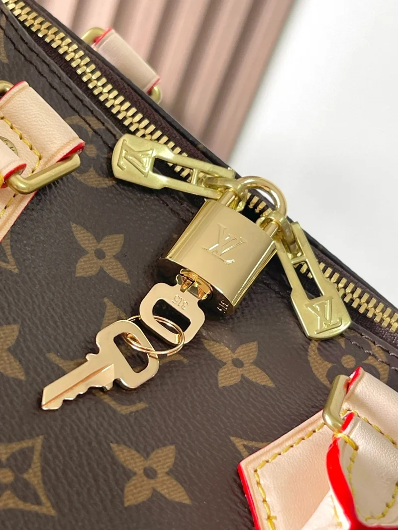 Trendsetting Louis Vuitton Speedy Bags 38752