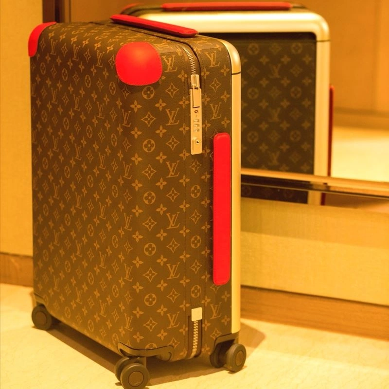 MultiPurpose Louis Vuitton Suitcase 65582
