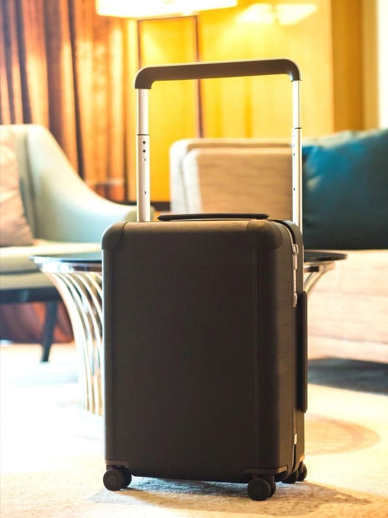 Louis Vuitton Suitcase NewStyle 65534