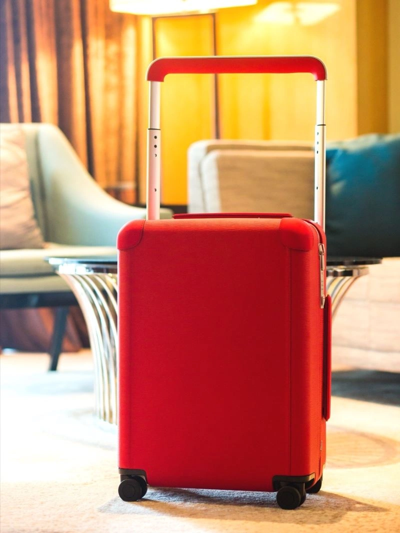 FastDry Louis Vuitton Suitcase 65485