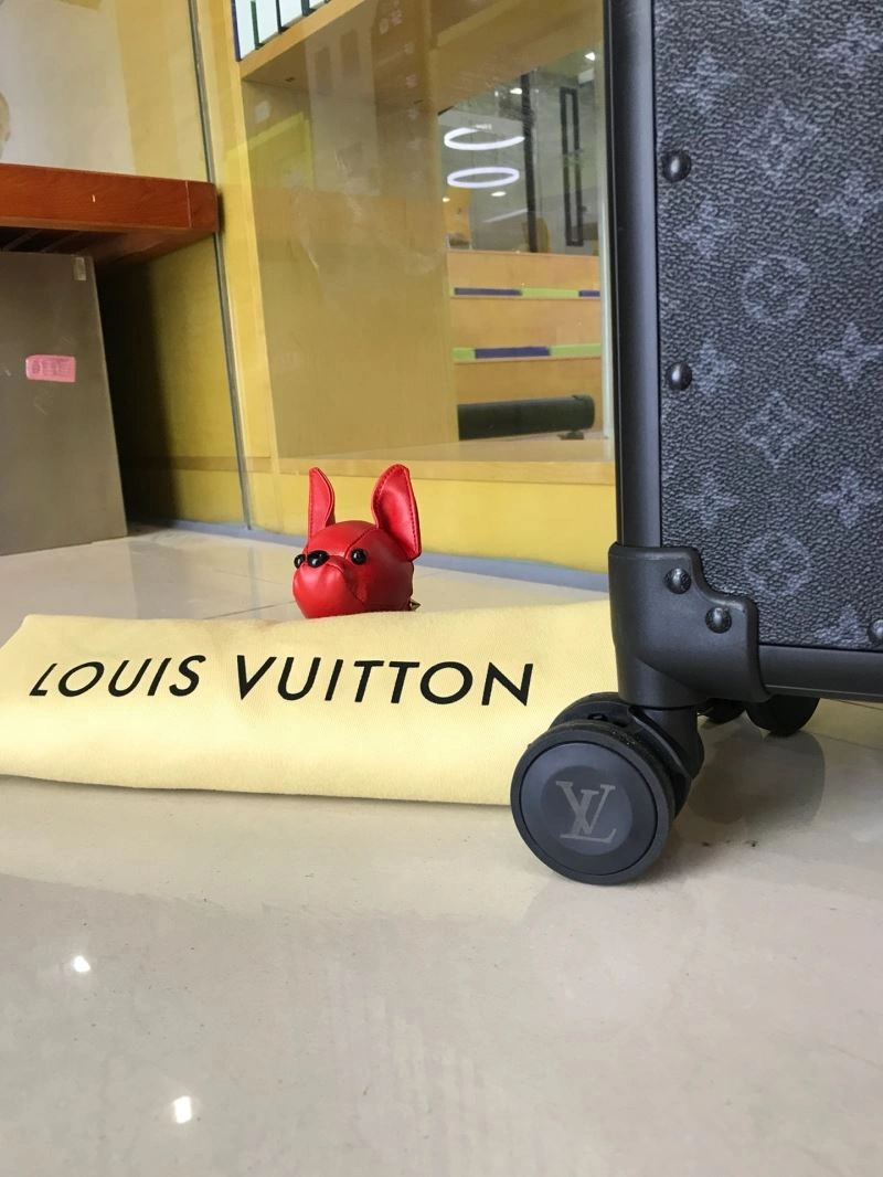 Resilient Louis Vuitton Suitcase 65387