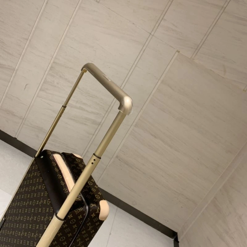 Louis Vuitton Suitcase Functional 65371