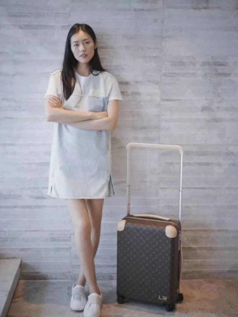 Durable Louis Vuitton Suitcase 65414