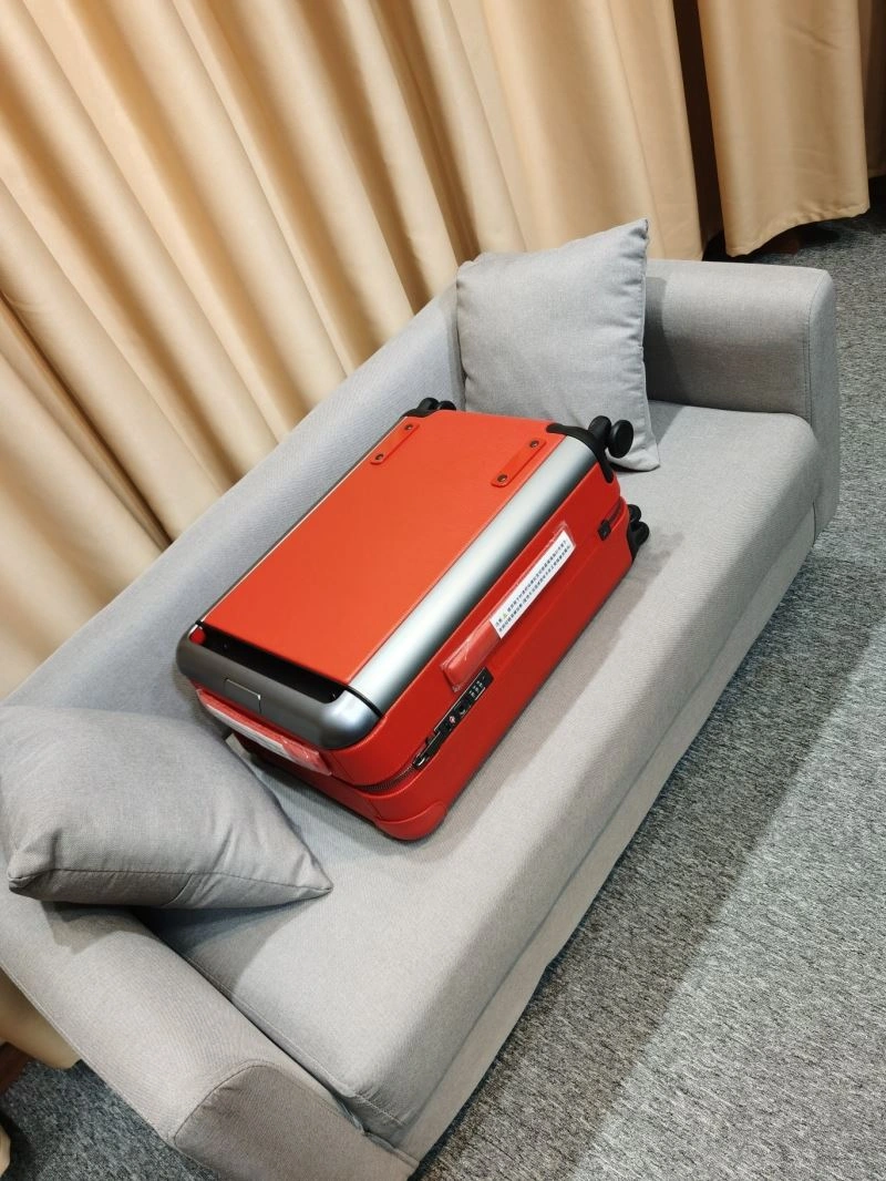 FlexibleFit Louis Vuitton Suitcase 65331
