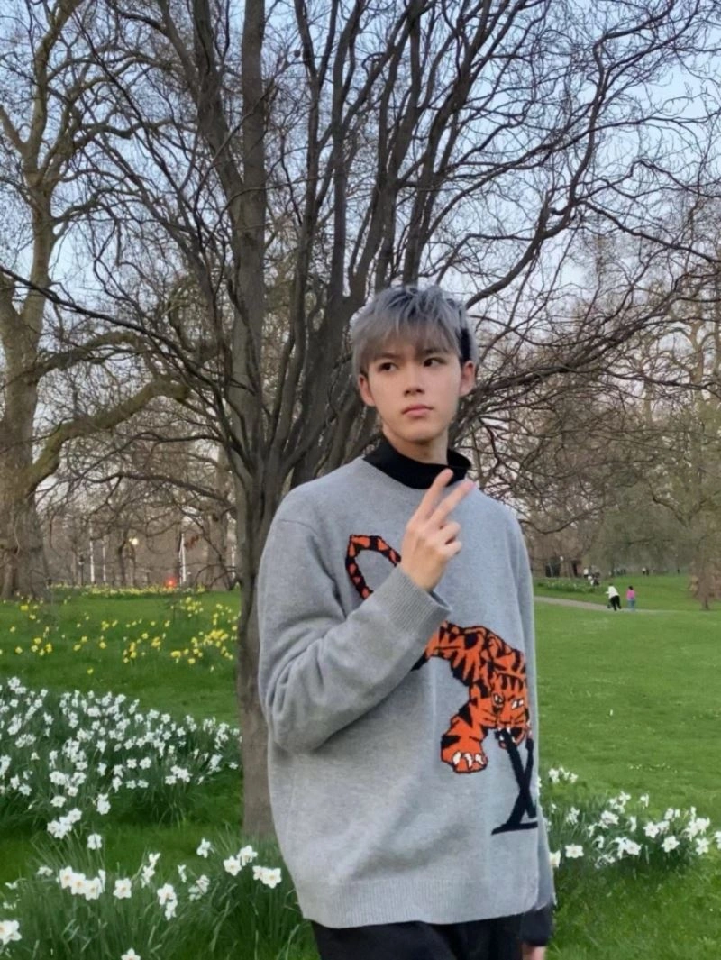 Louis Vuitton Sweaters WellDesigned 138504