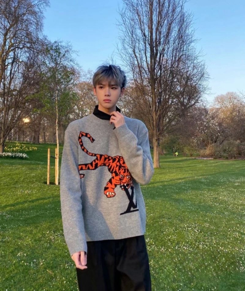 Louis Vuitton Sweaters WellDesigned 138504