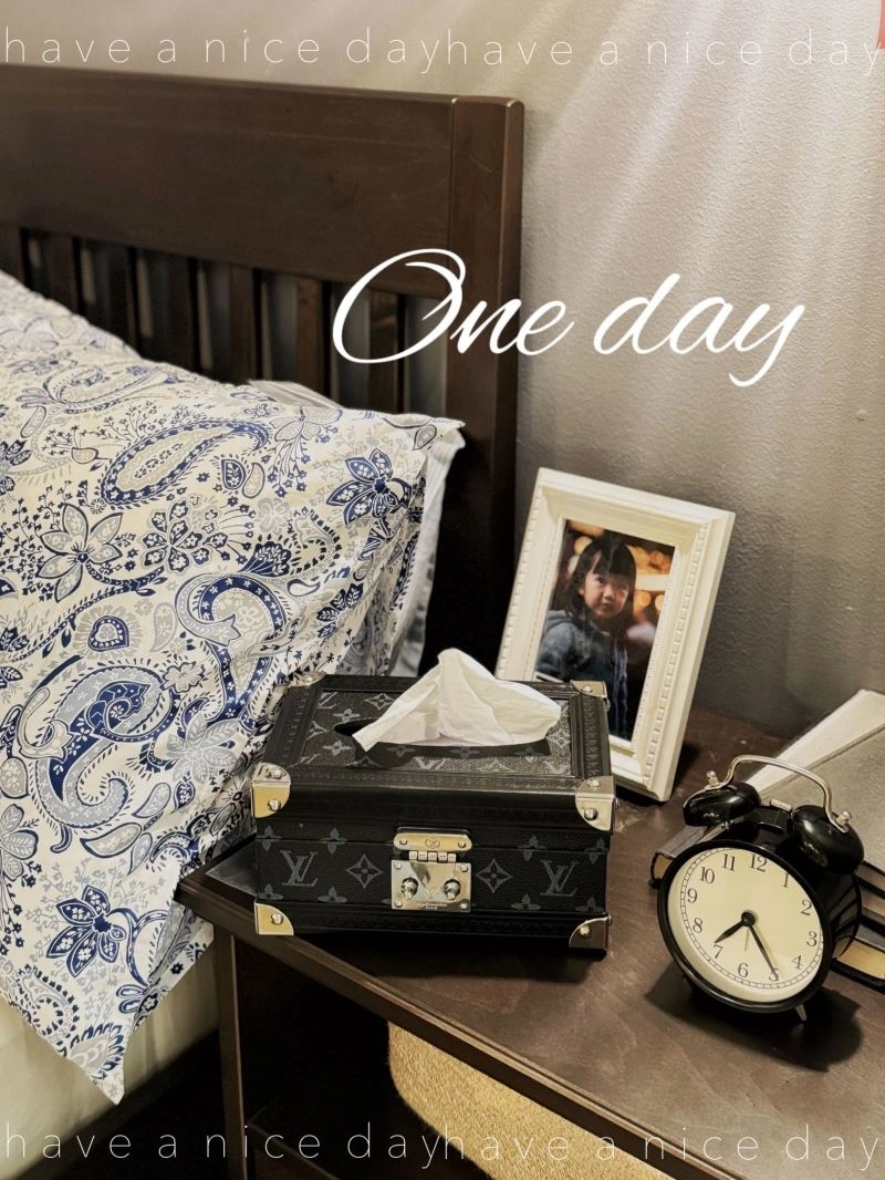 Comfortable Louis Vuitton Tissue Boxes 274719