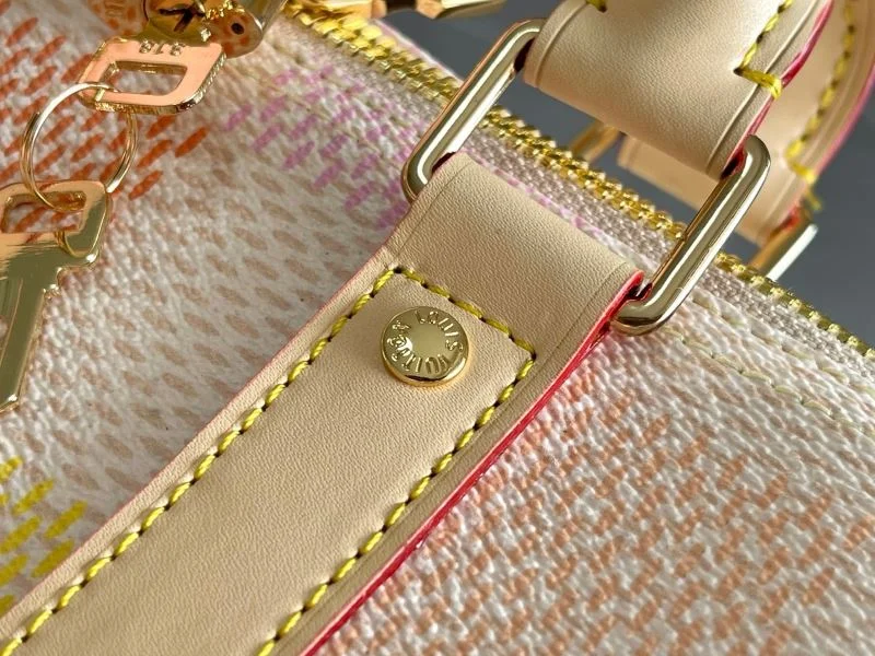 Louis Vuitton Travel Bags DailyWear 42270