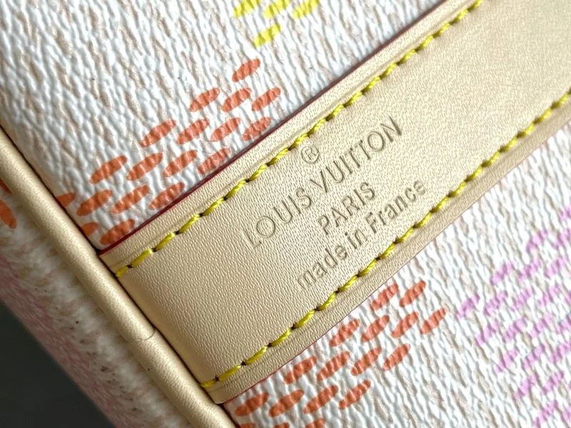 Louis Vuitton Travel Bags DailyWear 42270