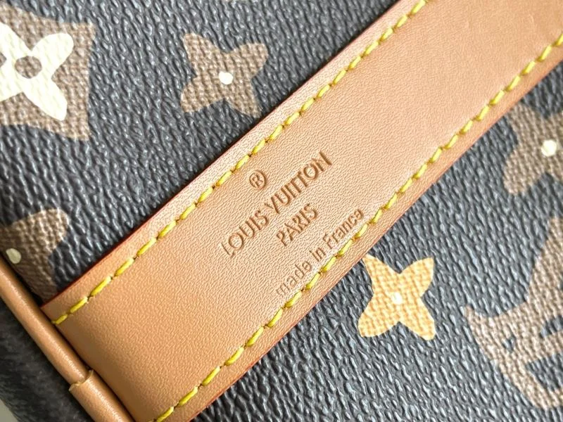 Lightweight Louis Vuitton Travel Bags 42191