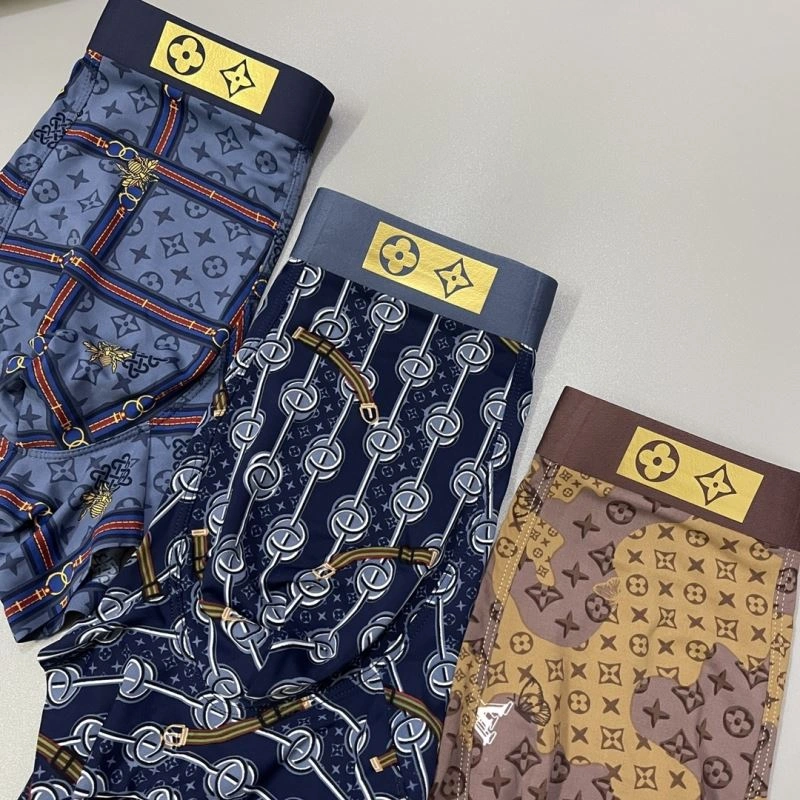 Louis Vuitton Underwear WellDesigned 276878