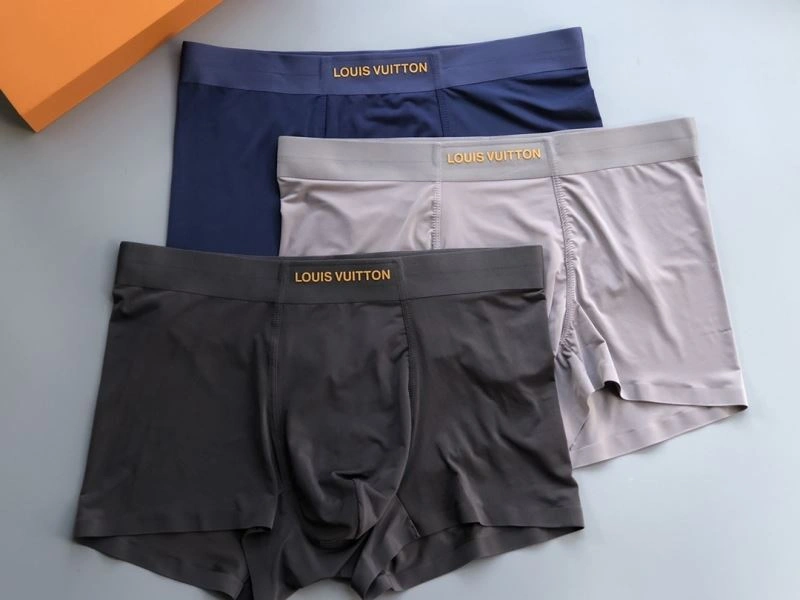 Upgraded Louis Vuitton Underwear 276868