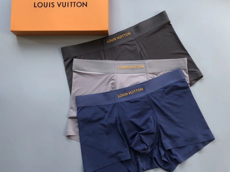 Upgraded Louis Vuitton Underwear 276868