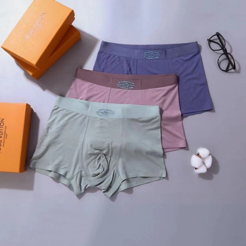 Louis Vuitton Underwear TravelReady 276775