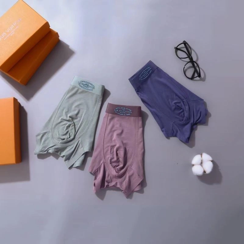 Louis Vuitton Underwear TravelReady 276775