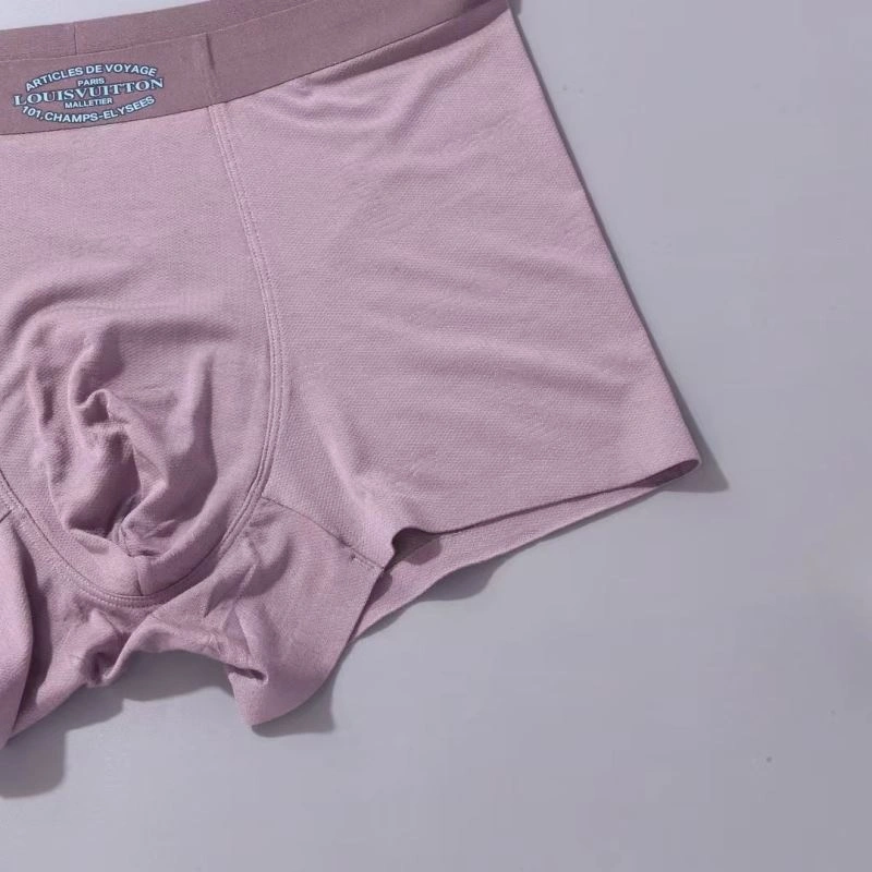Louis Vuitton Underwear TravelReady 276775
