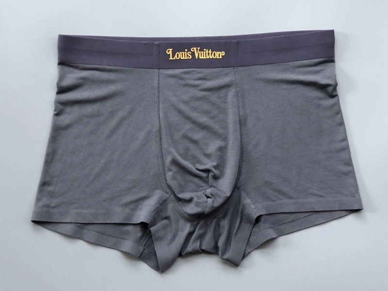 Louis Vuitton Underwear Tailored 276740