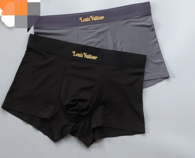 Louis Vuitton Underwear Tailored 276740