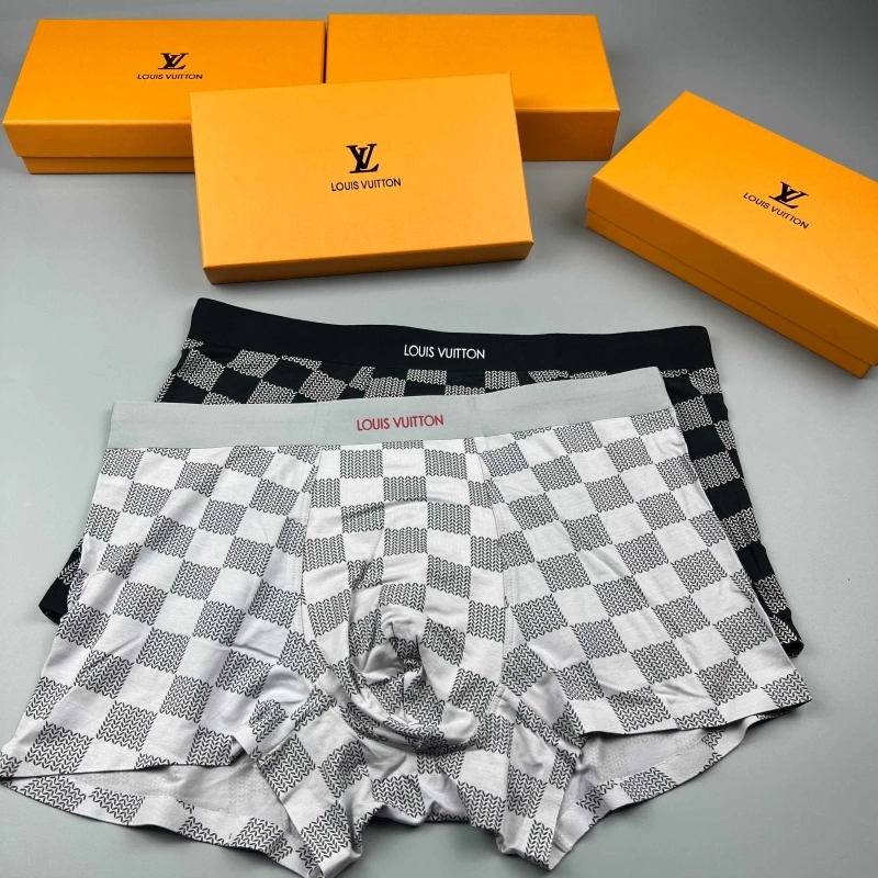 Louis Vuitton Underwear Sleek 276617