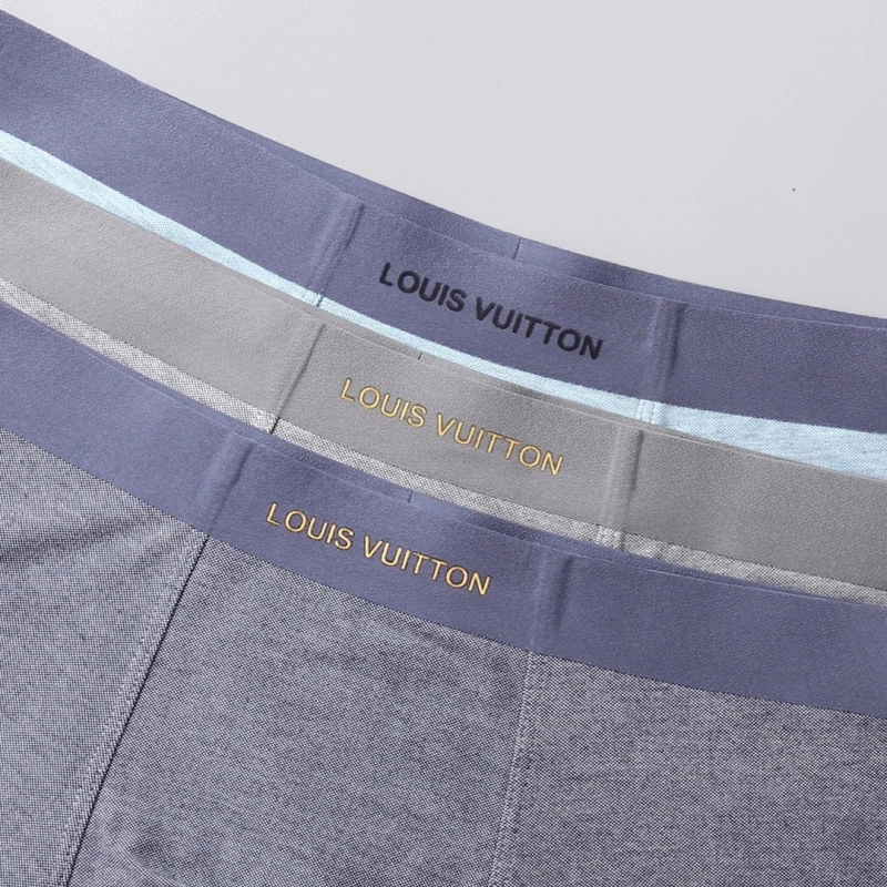 Louis Vuitton Underwear Durable 276287
