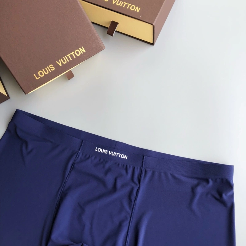 Chic Louis Vuitton Underwear 276278