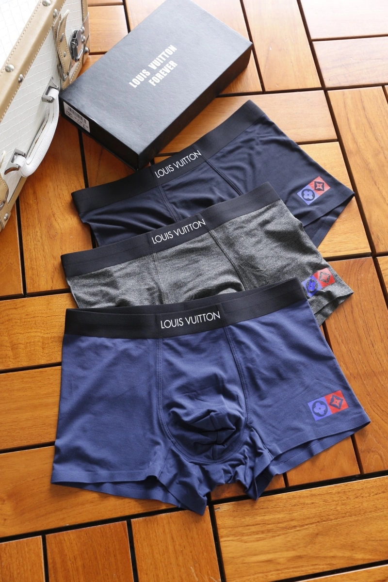Louis Vuitton Underwear GoAnywhere 276277