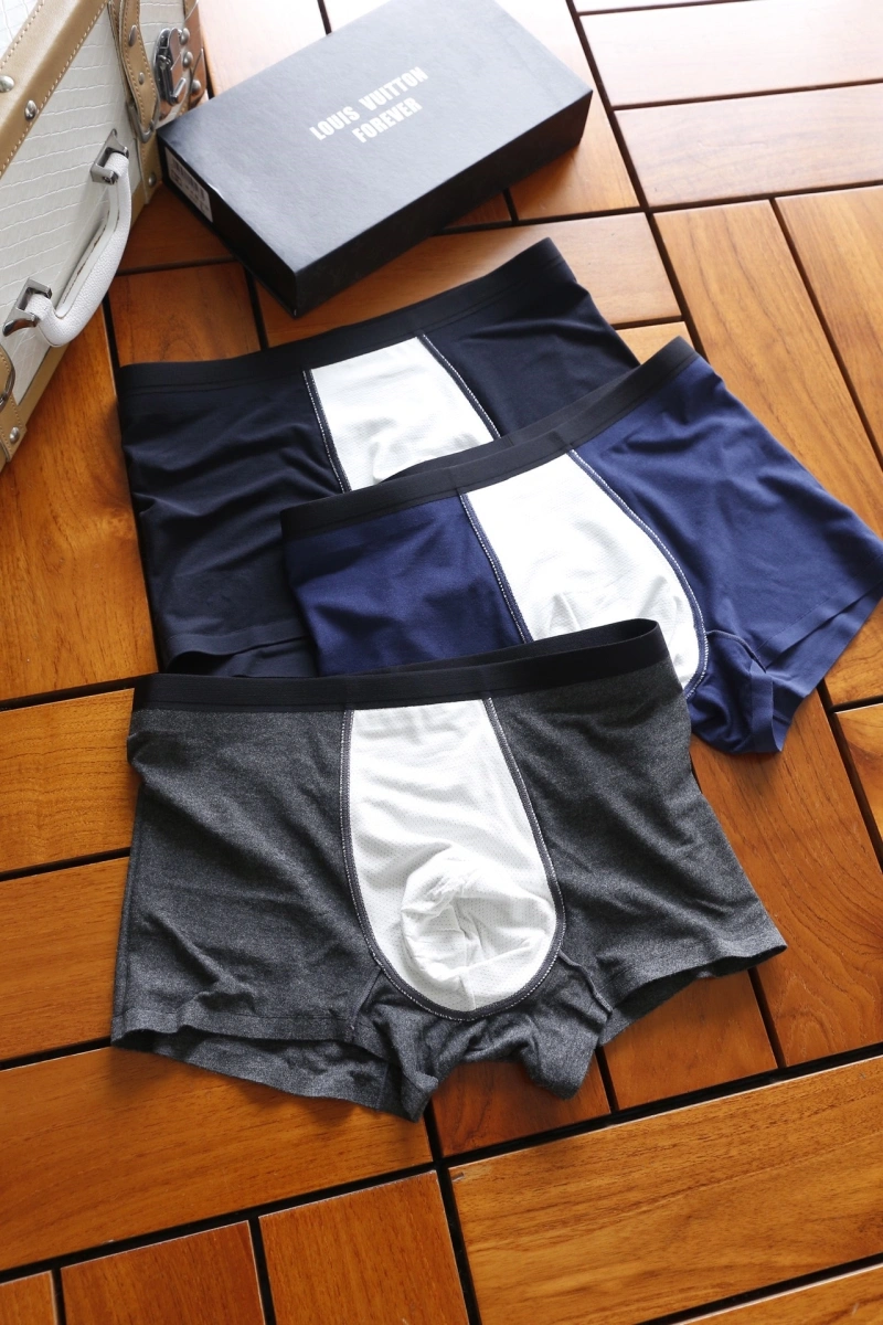Louis Vuitton Underwear GoAnywhere 276277
