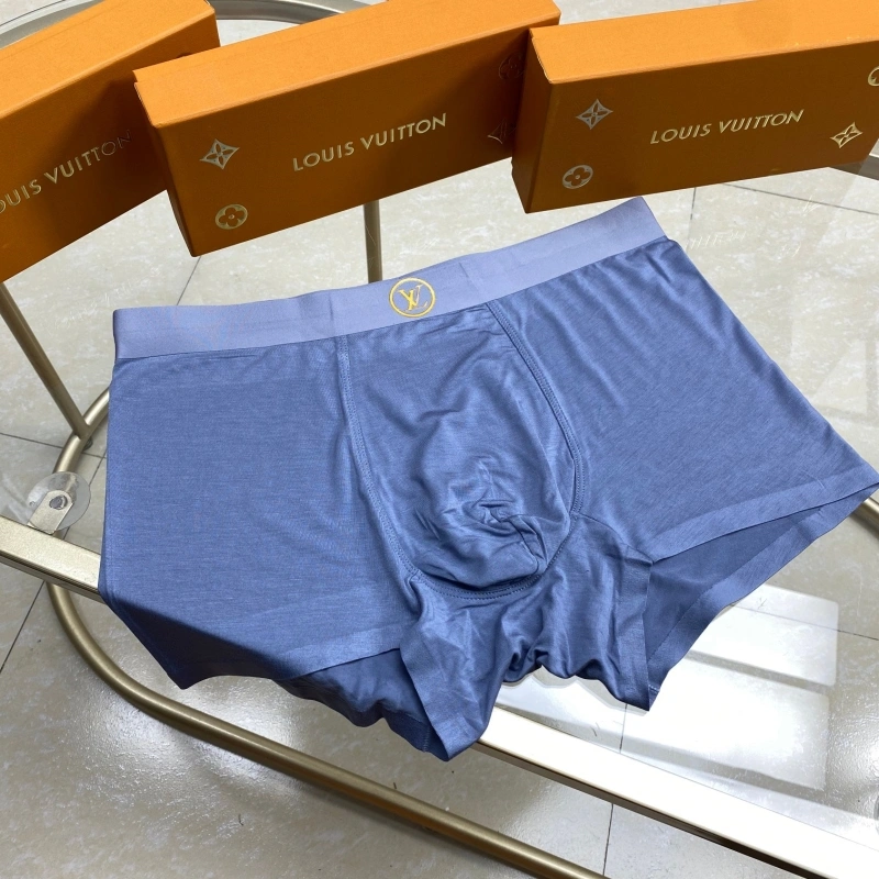 Louis Vuitton Underwear Unique 276265