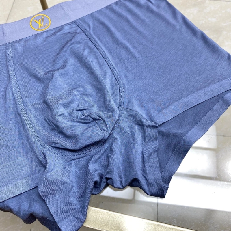 Louis Vuitton Underwear Unique 276265