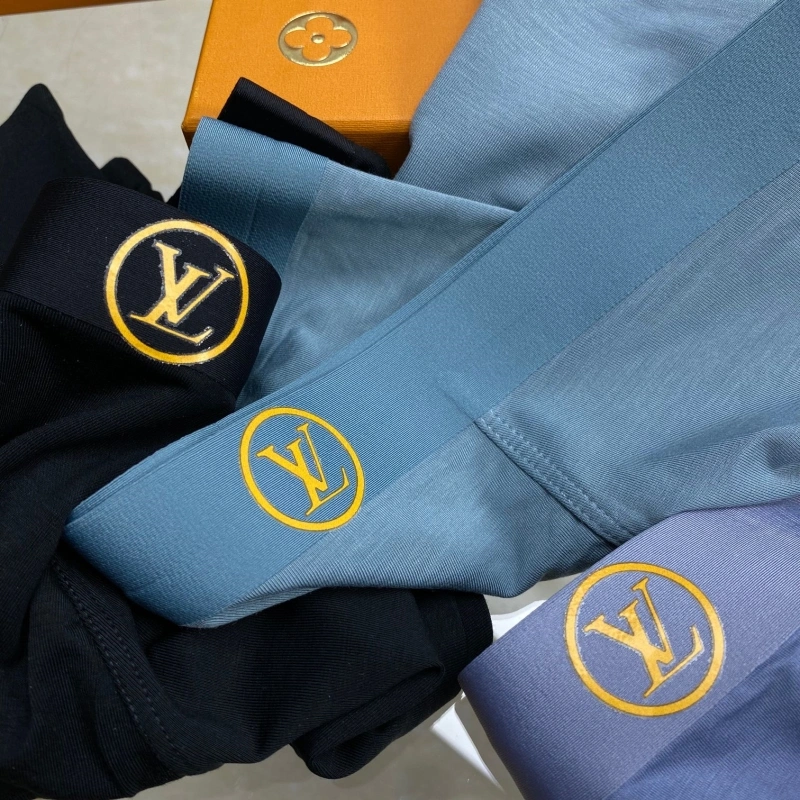 Louis Vuitton Underwear Unique 276265
