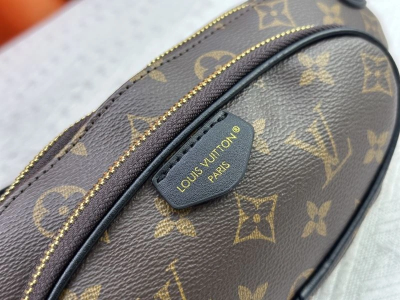 Louis Vuitton Waist Chest Packs FlexibleFit 80276