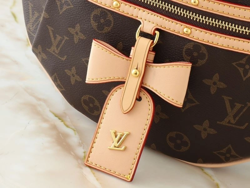 Louis Vuitton Waist Chest Packs Bright 80273