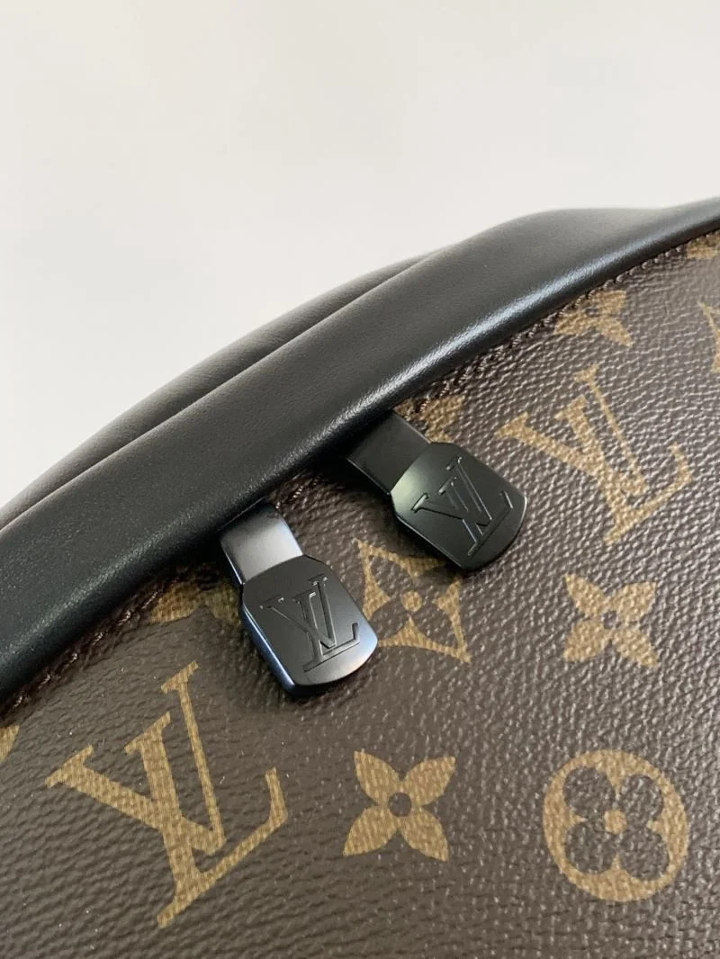 Louis Vuitton Waist Chest Packs Affordable 43220